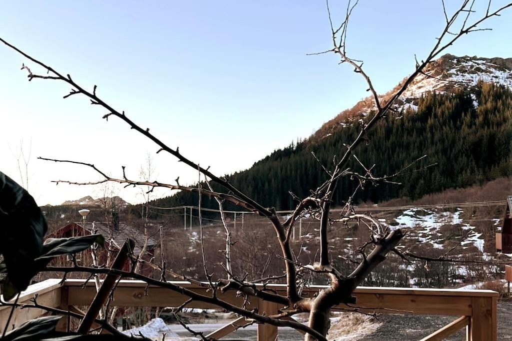 Ett Roms Leilighet Vestvagoy Gravdal  Exteriör bild